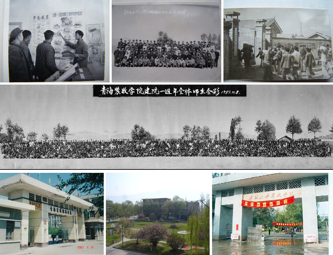 7428817c239f48d9a811a9bef9dc3013.jpg 7428817c239f48d9a811a9bef9dc3013.jpg