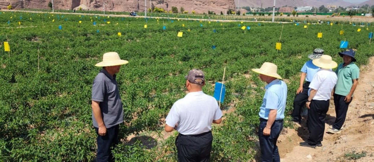 7eafb87f5192438b8287367866a59ab4.jpg 7eafb87f5192438b8287367866a59ab4.jpg