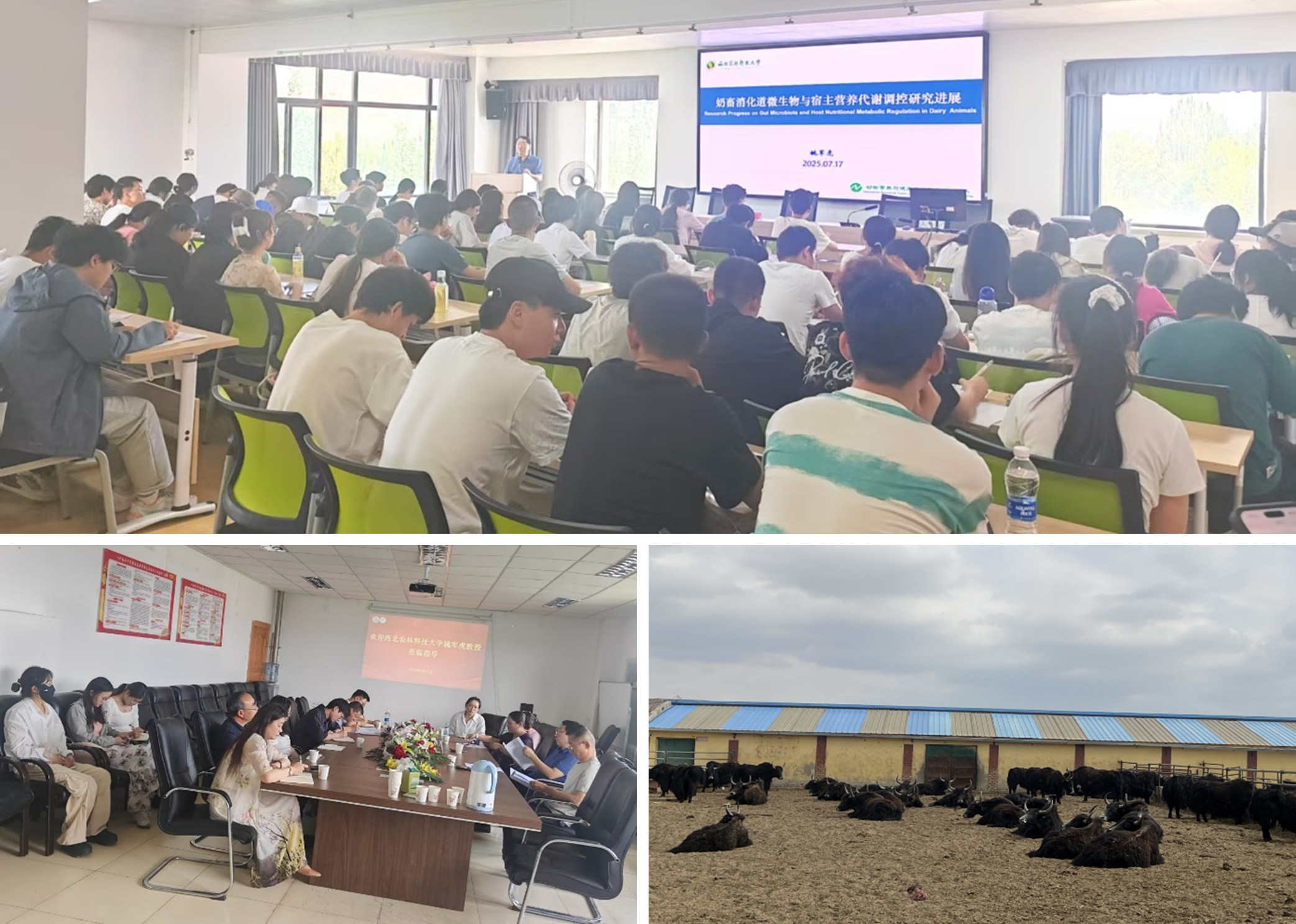 dc056e7faca047c5b52253d6b4b817c8.png dc056e7faca047c5b52253d6b4b817c8.png